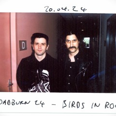 Birds In Row - Roadburn 2024 - Radio Stadtfilter Interview