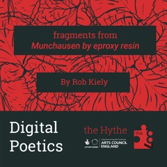 Rob Kiely - Fragments From Munchausen By Proxy Resin