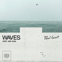 Paul Grant - Waves (Ft. Amy Ahn)