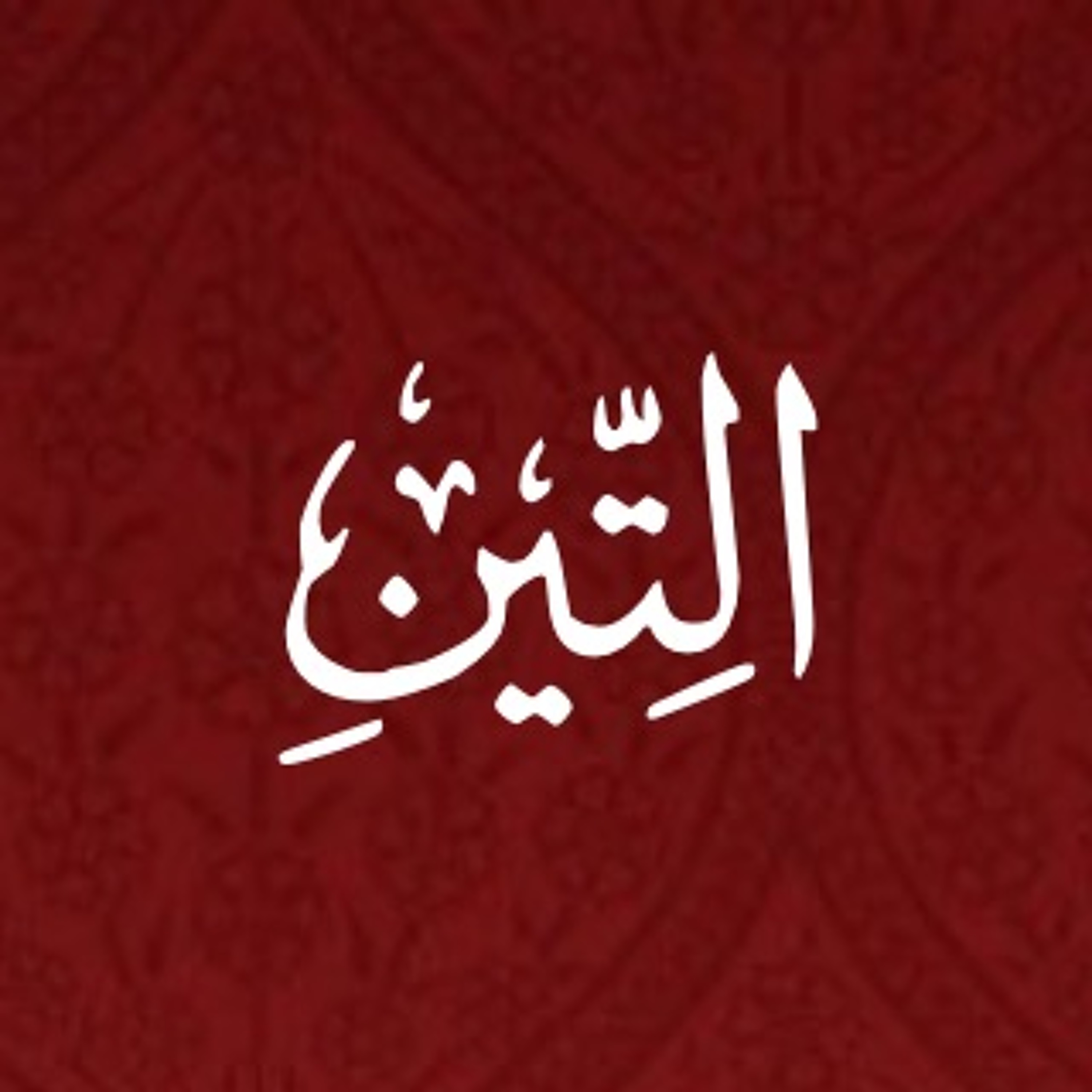 Quran Urdu Translation