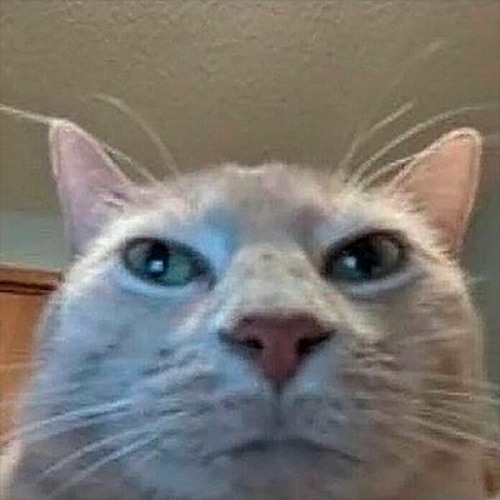 third try at jungle and ableton