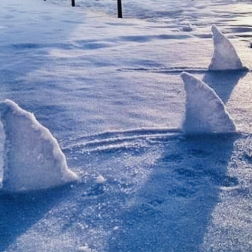 HUNT 03 - Shelly the Eraser