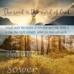 SOW THE GOSPEL