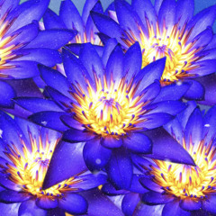 Blue Lotus EP