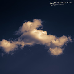 Acid Inoculation (Probe 02)