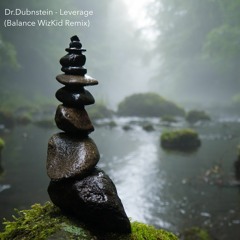 Dr.Dubnstein - Leverage (Balance WizKid Remix)