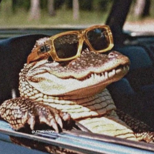 LA REAL MÚSIC A SERIA🎶 -Especial Set Private 2K25⚡🐎💯 Para, Josue👽.wav