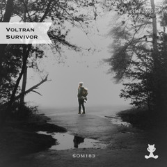 Voltran - Survivor (Extended Mix)