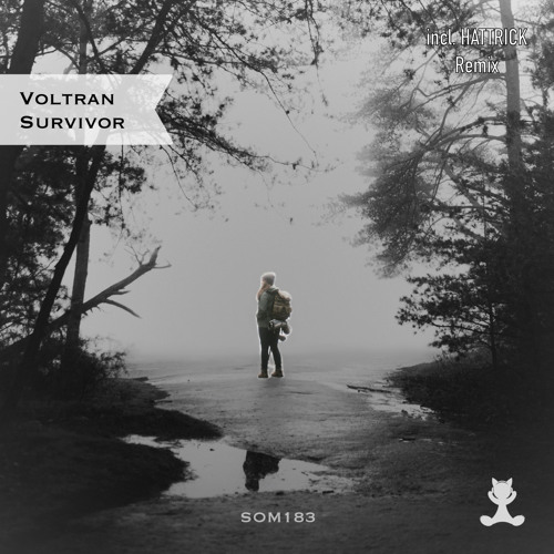 Voltran - Survivor (Extended Mix)