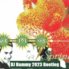 RMB - Spring (DJ Hammy 2023 Bootleg)