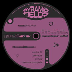 Pulse - Sector 29 (PYR010)