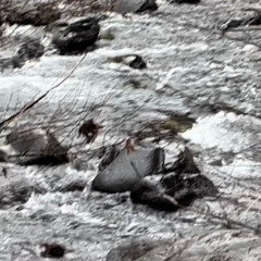 SICK. (prod. hypnotize)