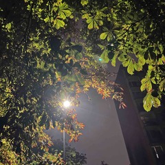 Crazy(prod.Joachim.E)