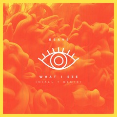 What I See (Niall T Remix)