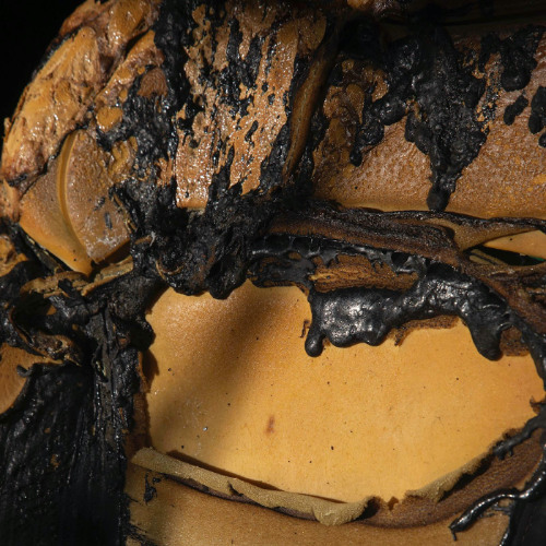 B1. BEC - No Longer My Amore