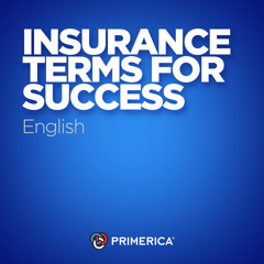 01 Basics of Insurance