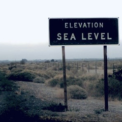 Student of the Music