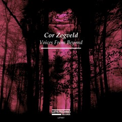 Cor Zegveld - I Will Control You (Original Mix)