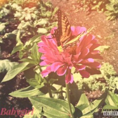 Baby Girl (Lil K Round Jumpin', Compo$ure, Breezo, Official T-Rob, De Luca, & BrylL)