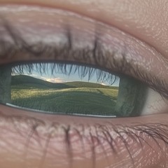 ｡○°