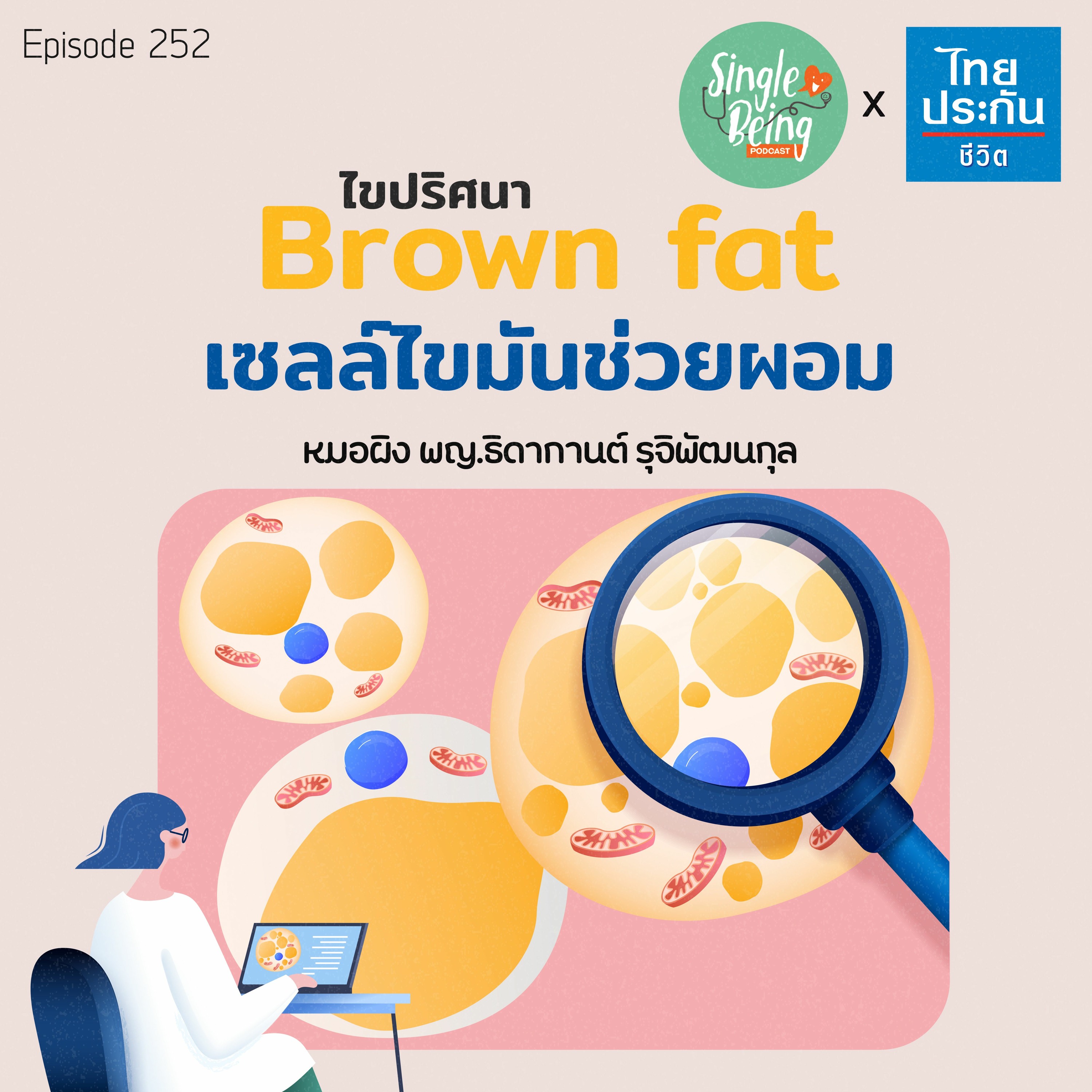 Single Being EP.252 Brown Fat ไขปริศนา เซลล์ไขมันช่วยผอม