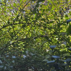 curiousityconfusion.