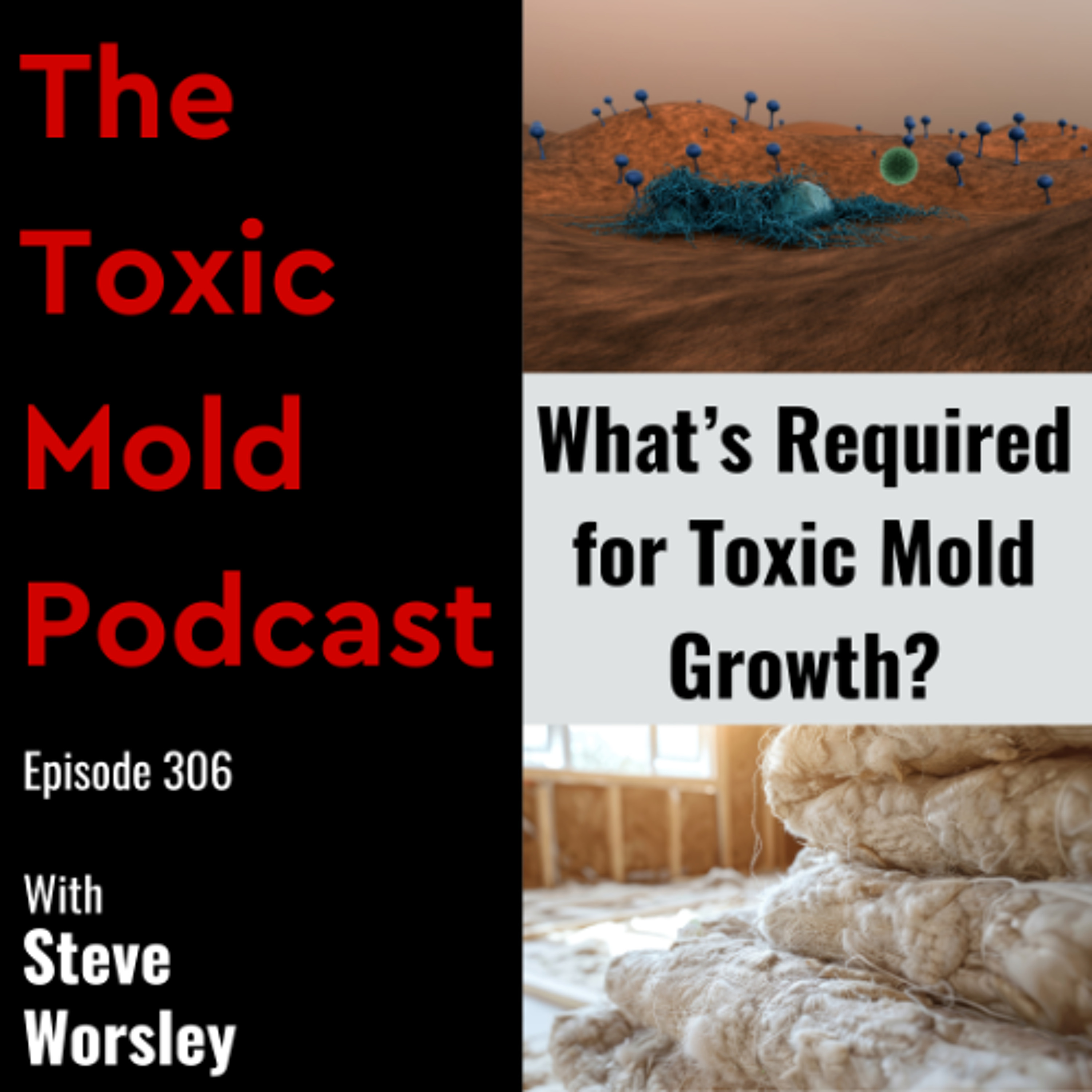 EP 306: What's Required for Toxic Mold Growth?