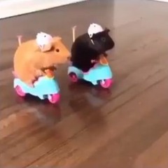 fr you really need to quarantine my guy