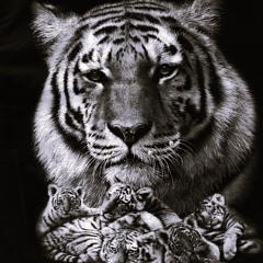 Moth To A Flame (Dj Vic Tiger)