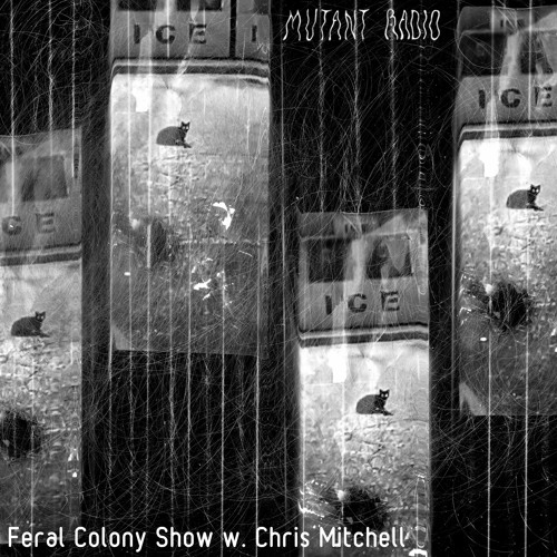 Feral Colony Show w. Chris Mitchell [12.01.2022]