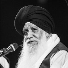 Is Man Ko Basant | Bhai Balbir Singh Ji ✨