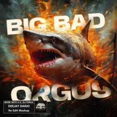 Mark With A K & DJ Furax - Its Not Orgus Right (Dj Dario Mashup)