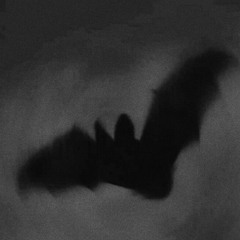 BATZ & WOLVERINES (FT SPOOKY)