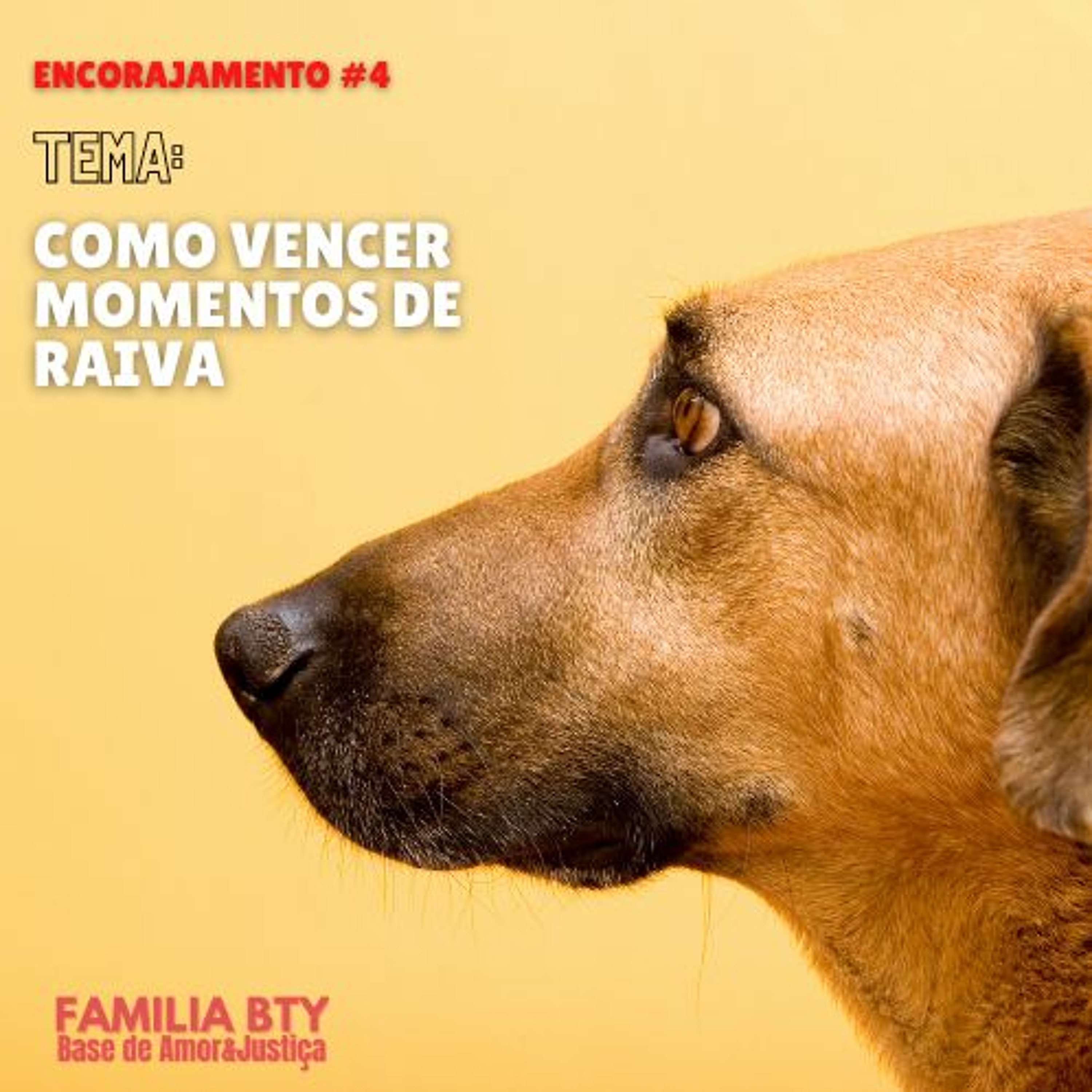 #Encorajamento 4 - Como vencer momentos de raiva. episode artwork