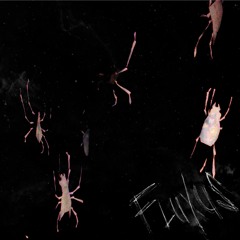 fluxus prod by lukewarm