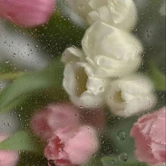 those eyes (new west) - short cover by dhani