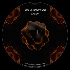 PREMIERE: Zalem - Udlandet (LEKKE Remix) [Trucking Records]