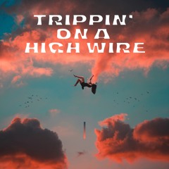 Trippin' On A High Wire (Lapidus, Mercurio)