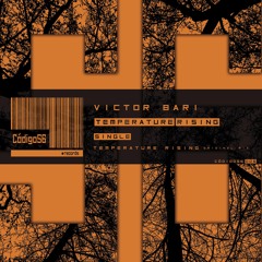 Temperature Rising - Victor Bari (Original Mix)