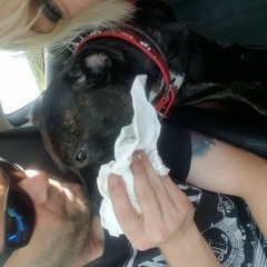 Who Giv3s A Toss Mix