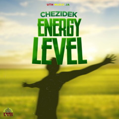 Energy Level