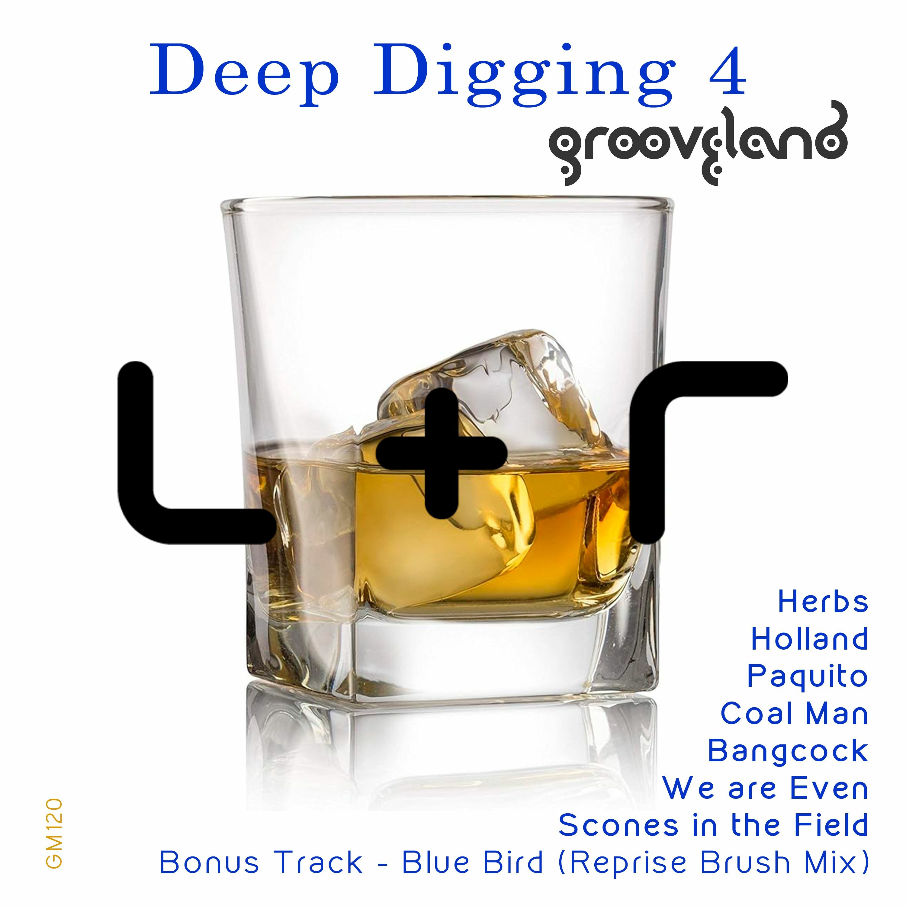 Grooveland