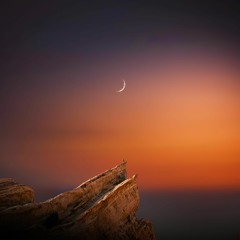 Arman Cekin - Day One