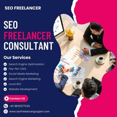 Hire Shopify SEO Expert SEO Freelancers Gurgaon