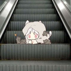 meow mall