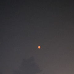 Intro Ft. REMEMBERME/V3LLE