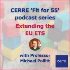 Professor Michael Pollitt discusses the EU Emissions Trading System (EU ETS)