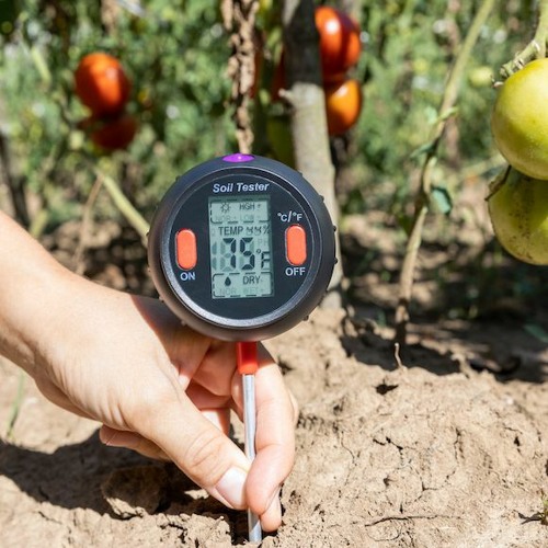 Stream Importance of a Soil Thermometer and How to Measure its