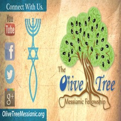 Subject: Special Guest Pastor Saleem Shalash | #31: Emor (אמור) "say"