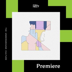PREMIERE: Different Ray - Echoes [Everything Will Be OK]